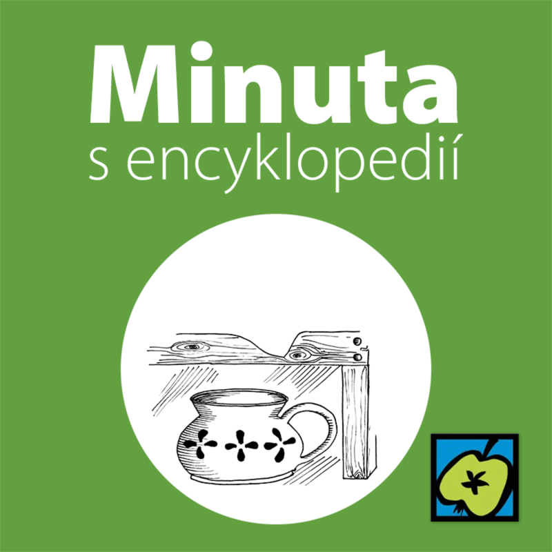 Obrázek epizody Nočník