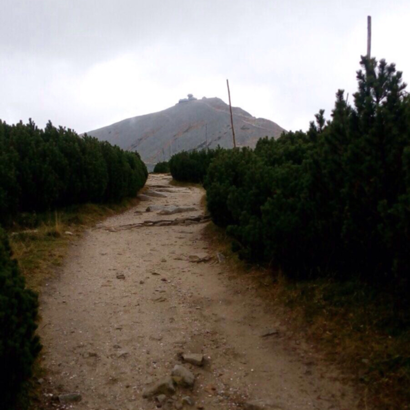 Obrázek epizody Podcast #1 - Podnikání je cesta