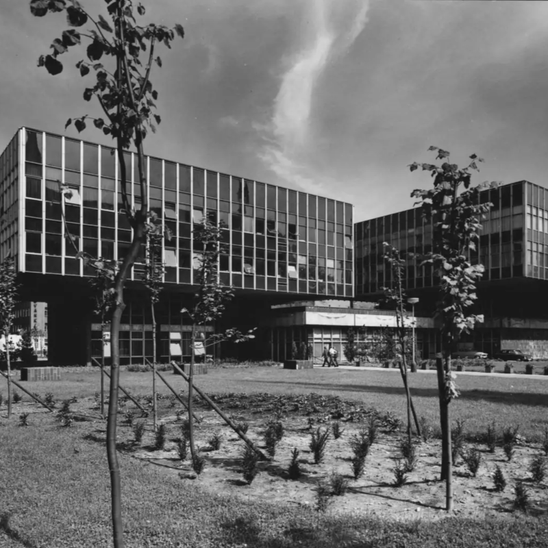 Obrázek epizody Kostky jsou vrženy?