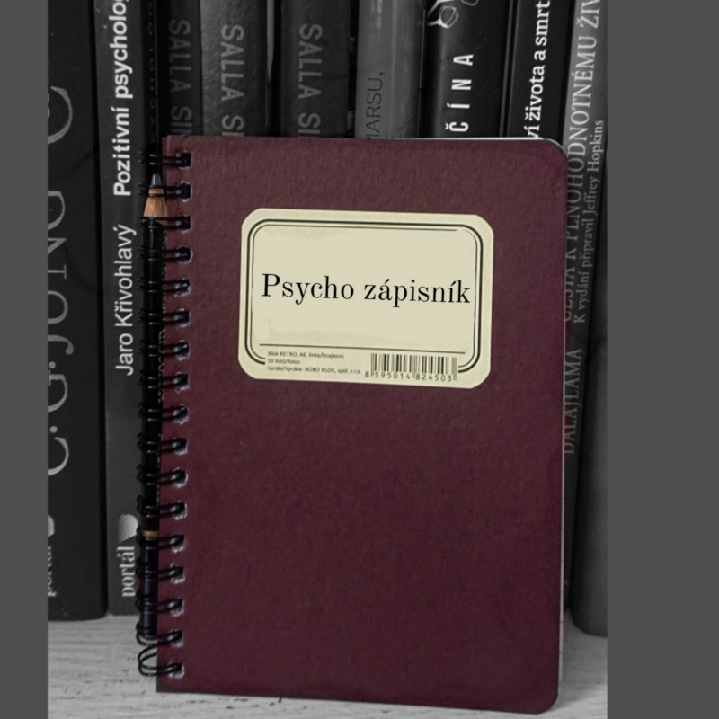 Obrázek epizody 6. O vztazích s Eldou