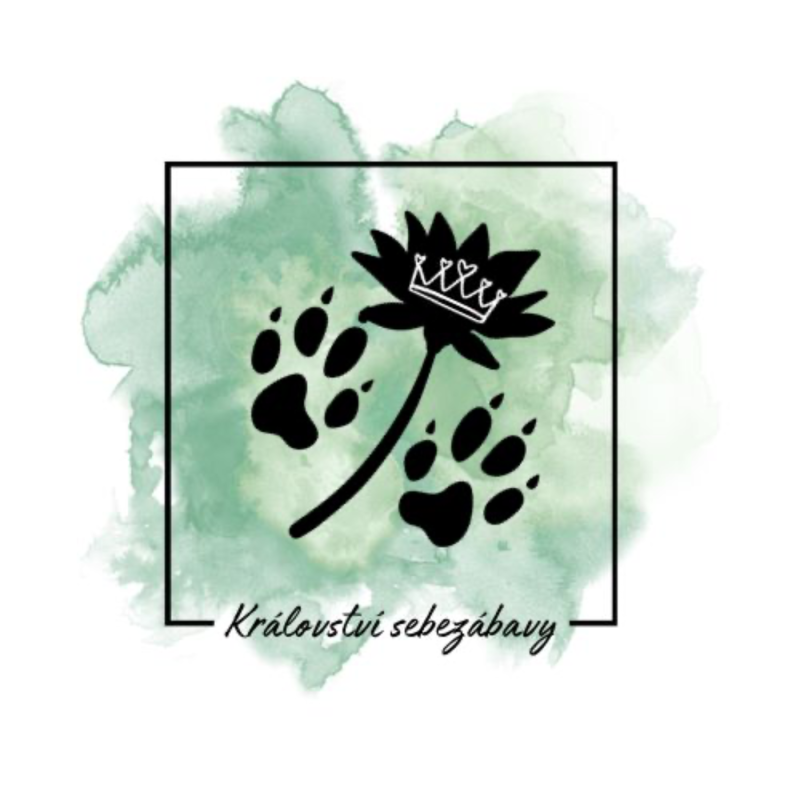 Obrázek epizody Utíkej tygře, utíkej…