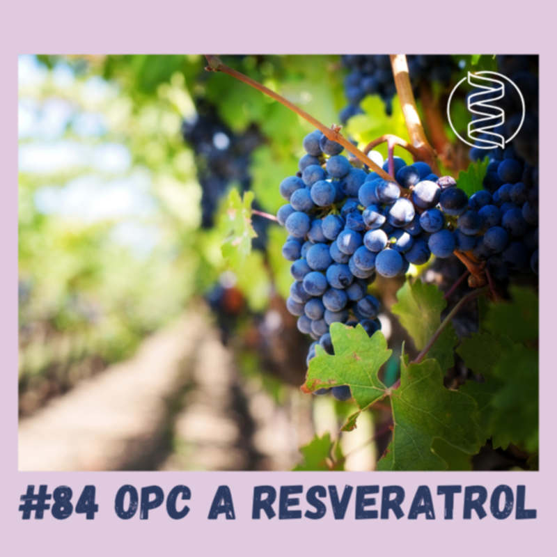 Obrázek epizody #84 OPC A RESVERATROL / longevity, mitochondrie, sirtuiny, NAD+, mikrobiom, játra, hubnutí, testosteron, krvetvorba, regenerace, mentální výkonnost, akné, menopauza, akné, sportovní výkonnost