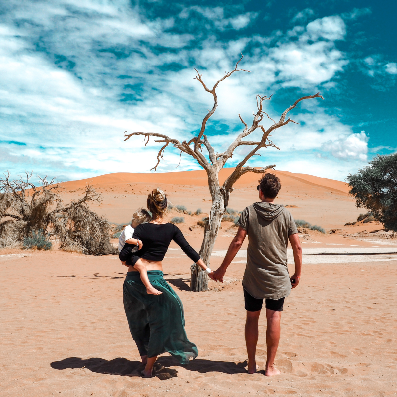 Obrázek epizody #5 Jak jsme v Namíbii stopovali gepardy.