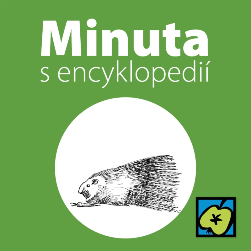 Obrázek epizody Dikobrazi