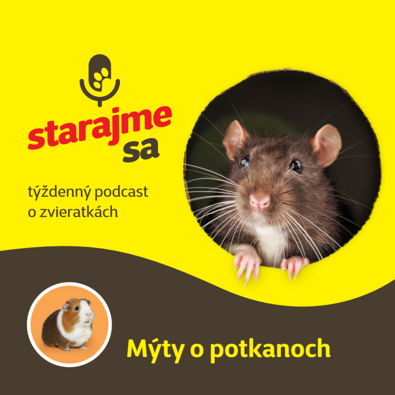 Obrázek epizody Drobné cicavce: Mýty o potkanoch