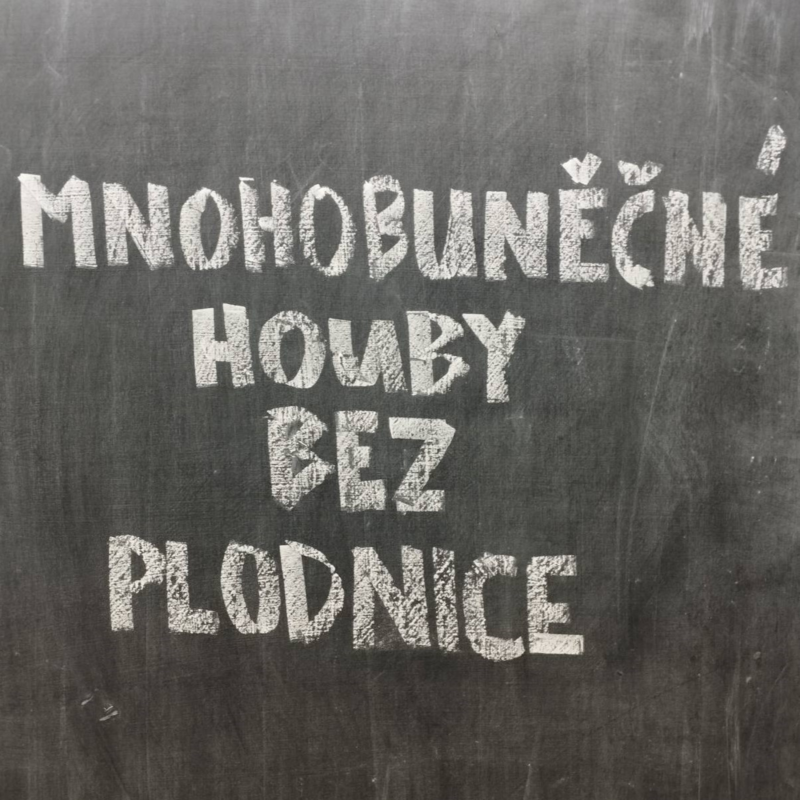 Obrázek epizody Plísně - opět fakt moc díky! Tentokrát za ATB... A sejry.