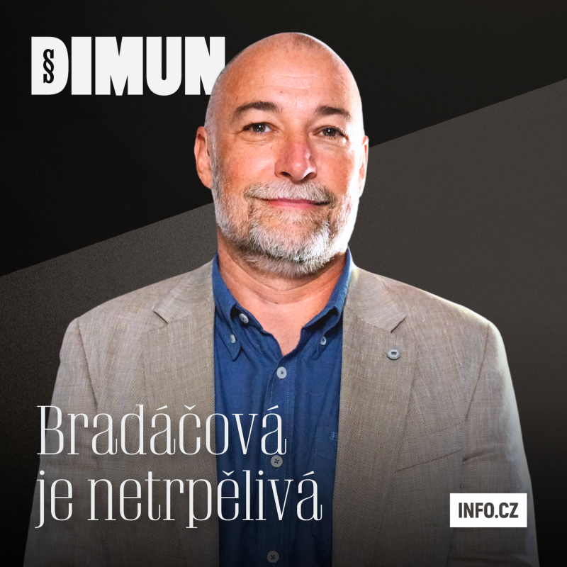 Obrázek epizody Prezident Unie žalobců Tomáš Foldyna: Bradáčová je netrpělivá