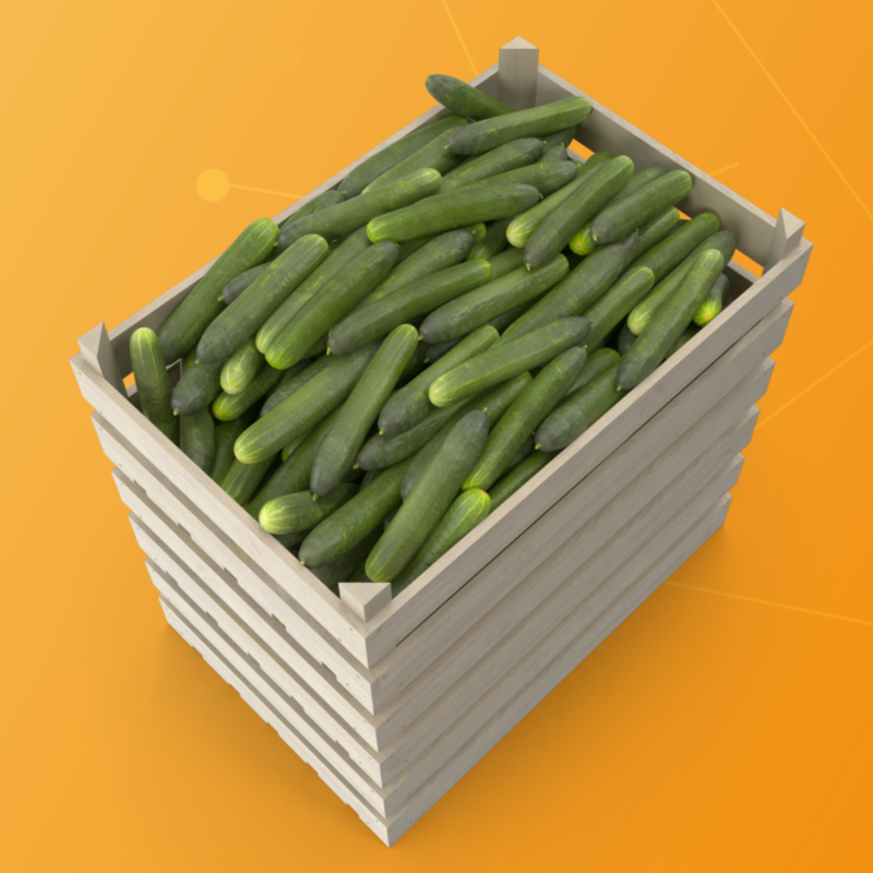 Obrázek epizody BK LIVE: Konec okurkové sezóny