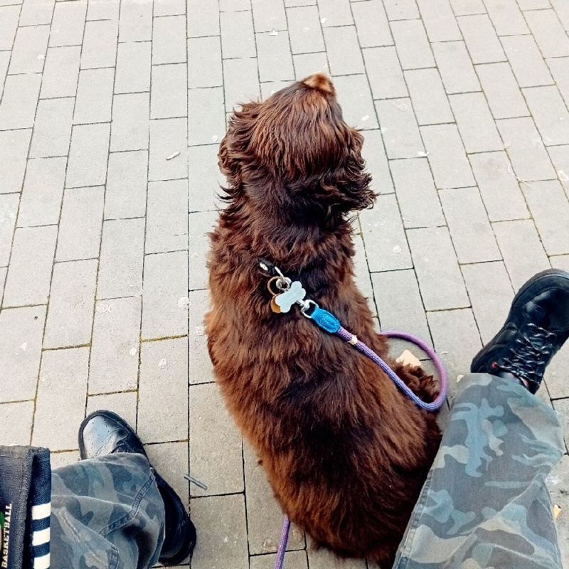 Obrázek epizody Achcik- waaaaau oni střílí.hahh