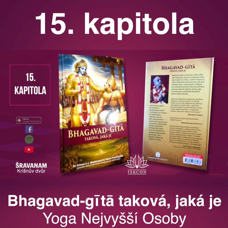 Obrázek epizody 15. kapitola Bhagavad-gītā taková, jaká je - Yoga Nejvyšší Osoby