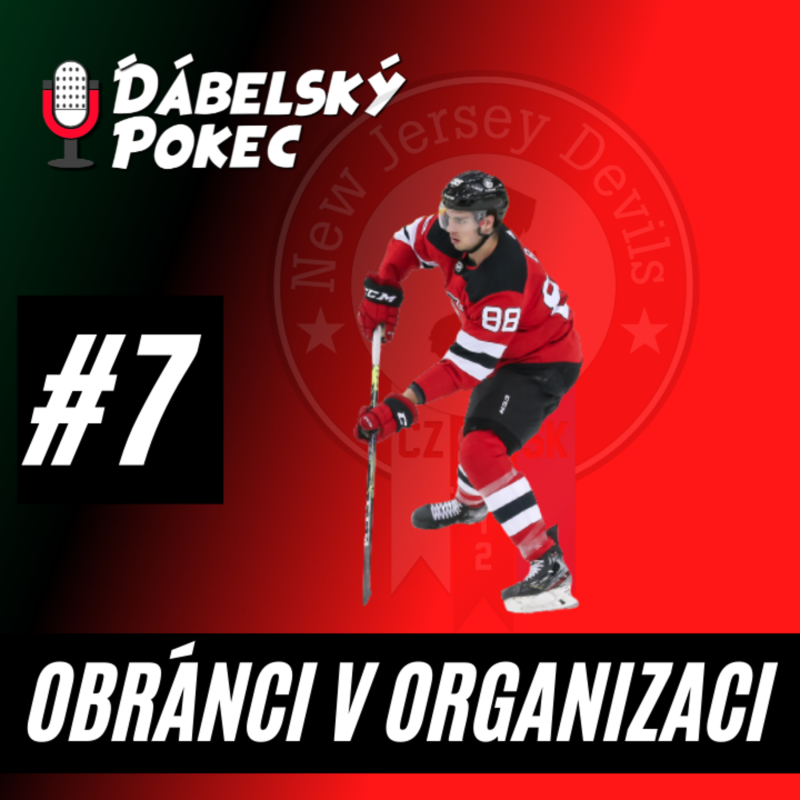 Obrázek epizody #7 - Obránci v organizaci