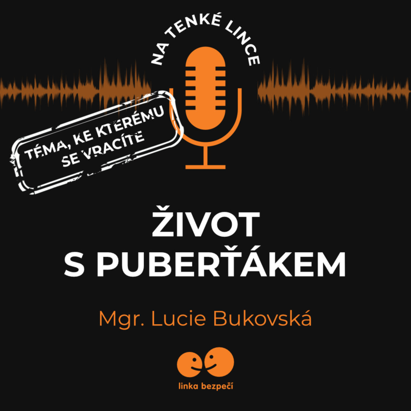 Obrázek epizody Život s puberťákem