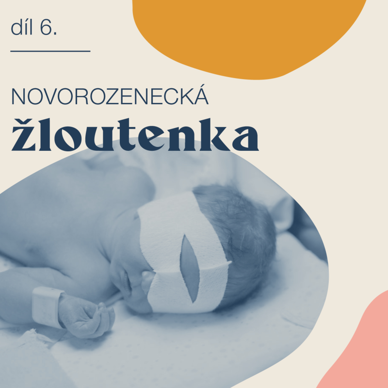 Obrázek epizody # 6 Novorozenecká žloutenka