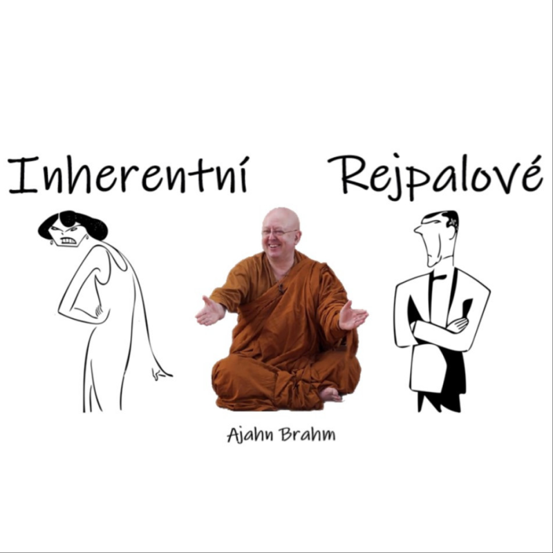 Obrázek epizody Inherentní rejpalové (jak překonat depresi) | Ajahn Brahm | 25.6.2010