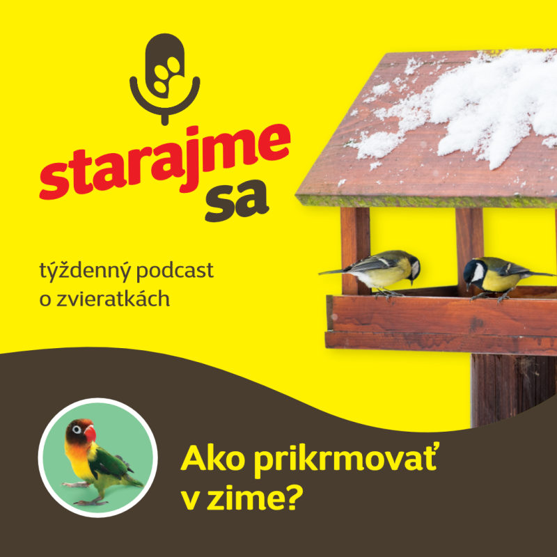Obrázek epizody Vtáky : Ako prikrmovať v zime?