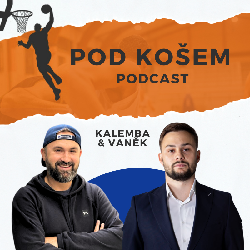 Obrázek epizody 124. díl - S Martinem Vaňkem o finále pro Brno po 29 letech, 7. zápase a sérii s Děčínem, atmosféře a euforii v malé hale, disciplinárce pro Frye a finálových očekáváních