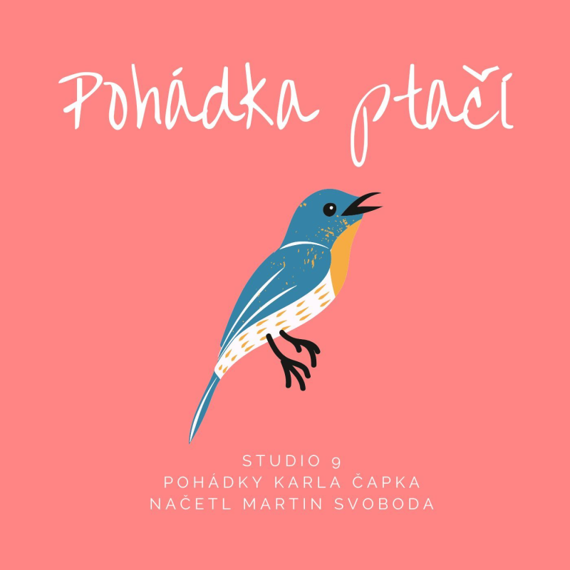 Obrázek epizody Pohádka ptačí