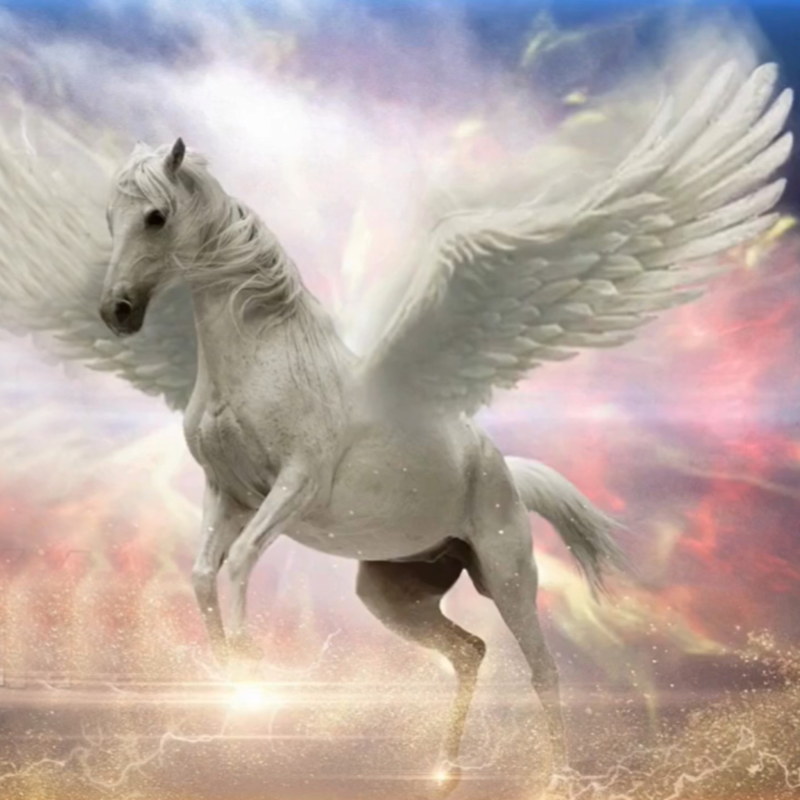 Obrázek epizody #44 Sny a snění - přednáška