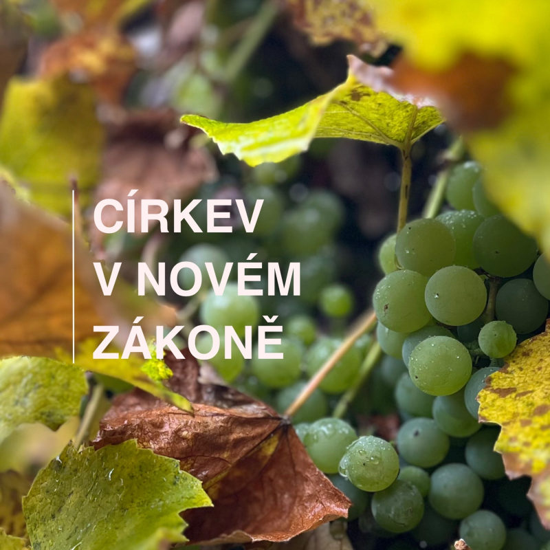Obrázek epizody Nový nebo starý kabát? - Broňa Huňátová 23.11.2025 CBH Chomutov