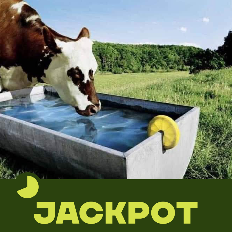 Obrázek epizody JACKPOT 42