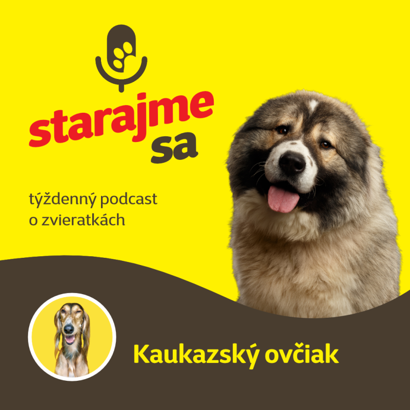 Obrázek epizody Psy: Kaukazský ovčiak