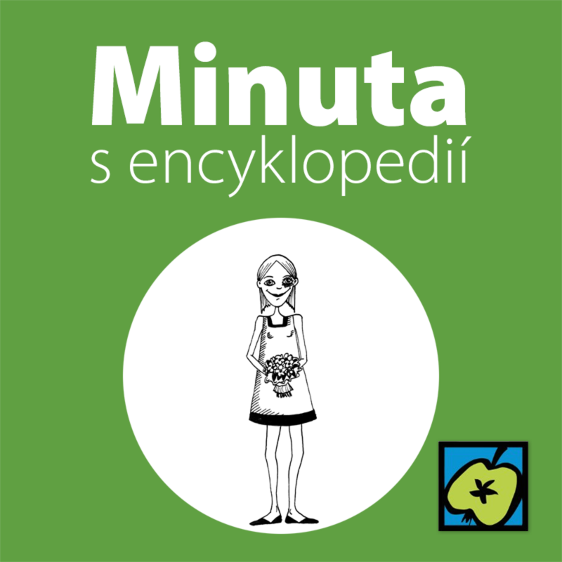 Obrázek epizody Svatební zvyky