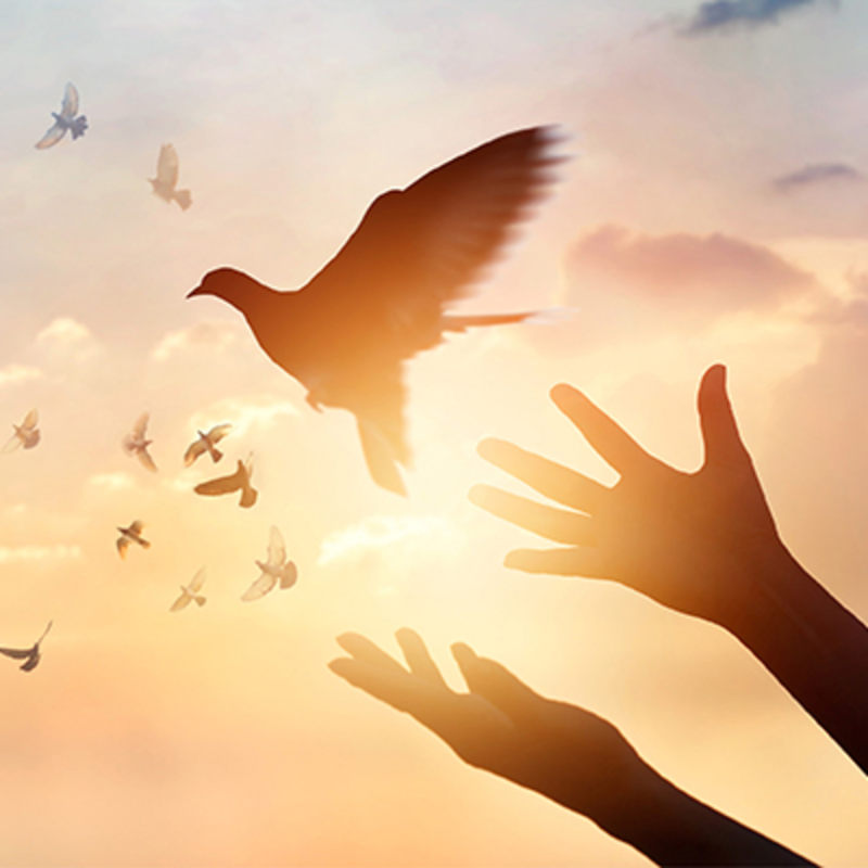 Obrázek epizody Odpuštění