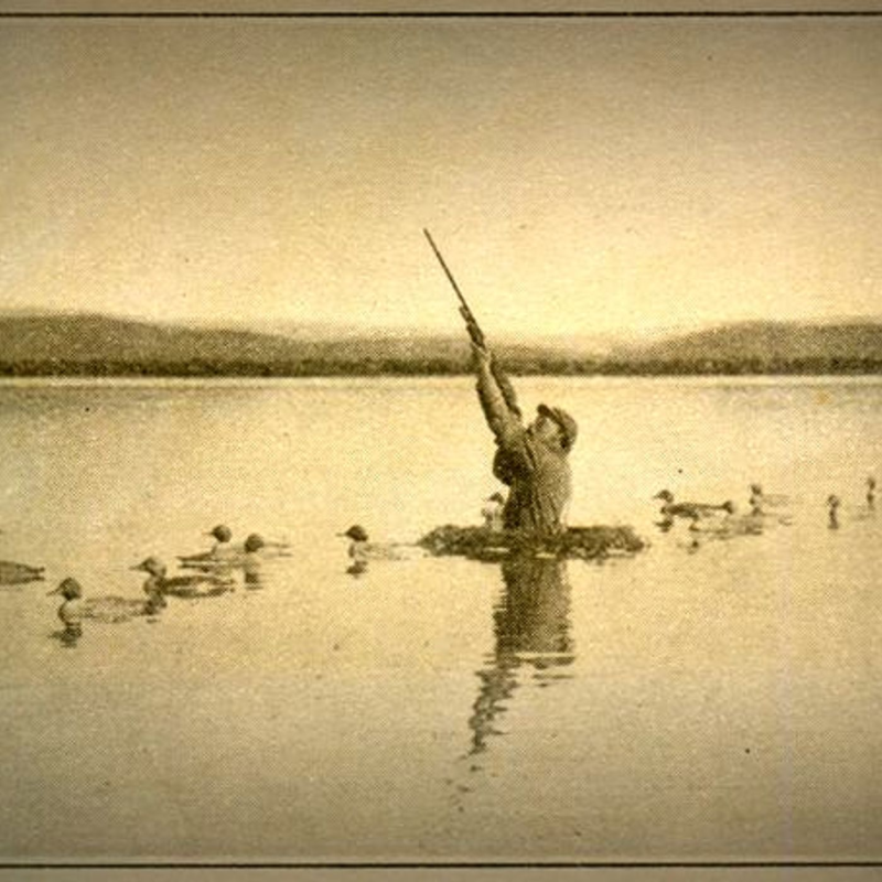 Obrázek epizody Sex, Ducks, and The Founding Feud