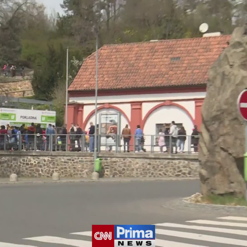 Obrázek epizody Dlouhé fronty před zoologickými zahradami (zdroj: CNN Prima NEWS)