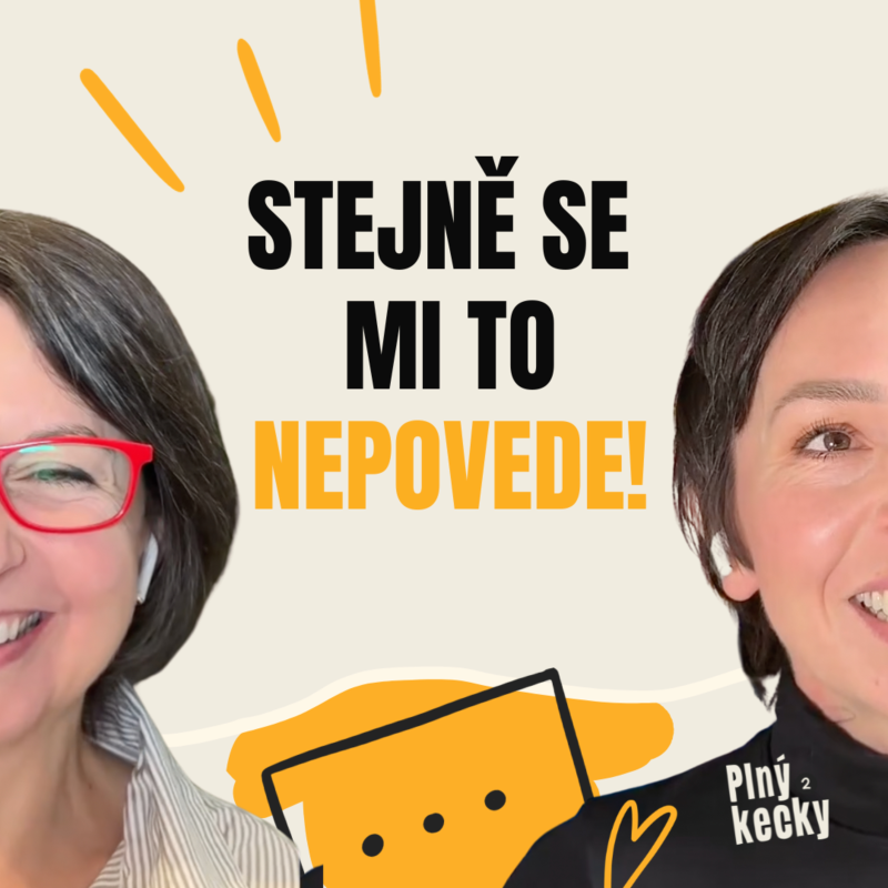 Obrázek epizody #41 Stejně se mi to nepovede! Kde se bere tvůj vnitřní kritik a jak ho zkrotit?