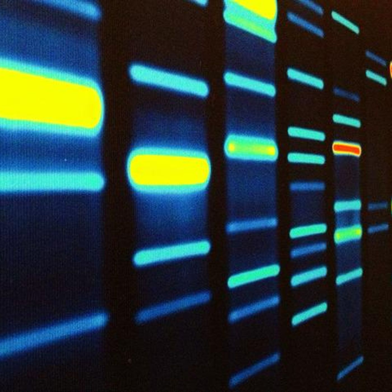 Obrázek epizody Infective Heredity