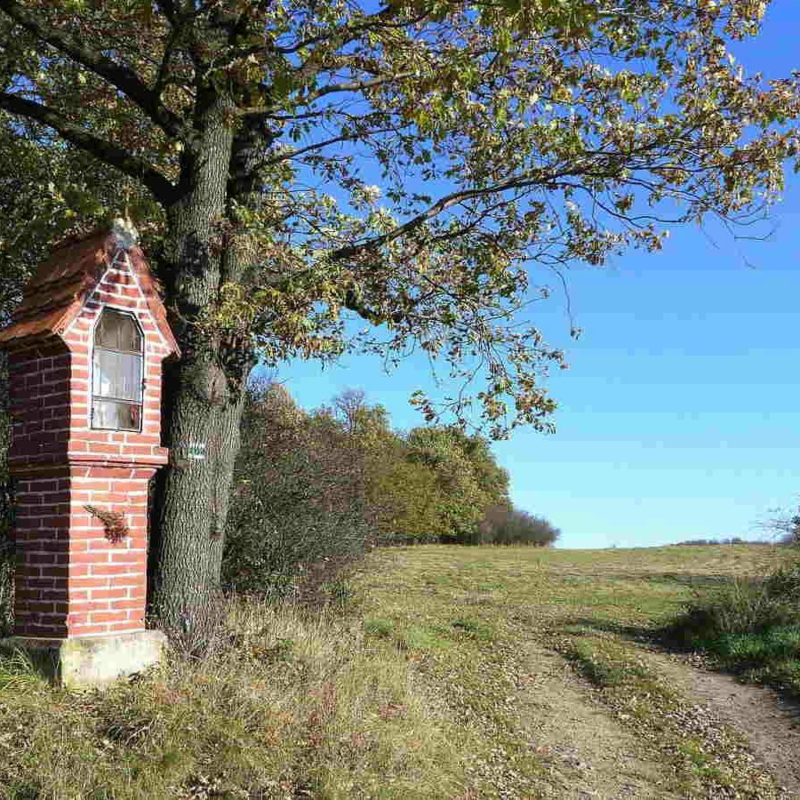 Obrázek epizody Petr Vaďura čte z knihy Josefa Holečka: Naši