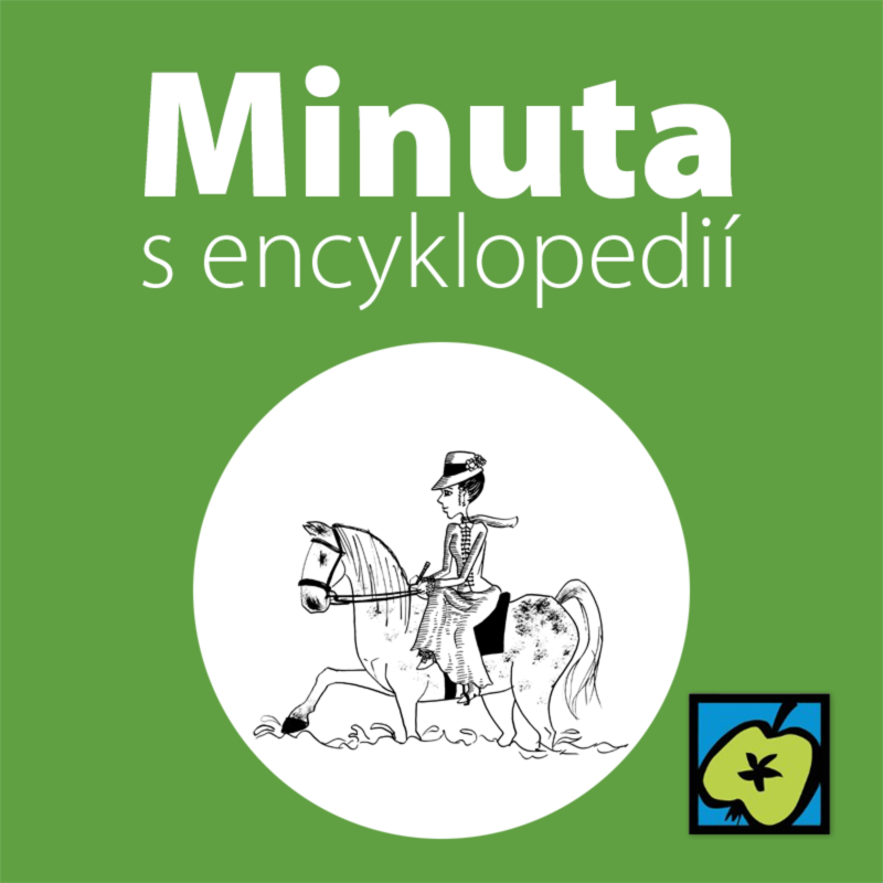 Obrázek epizody Jezdecké sedlo