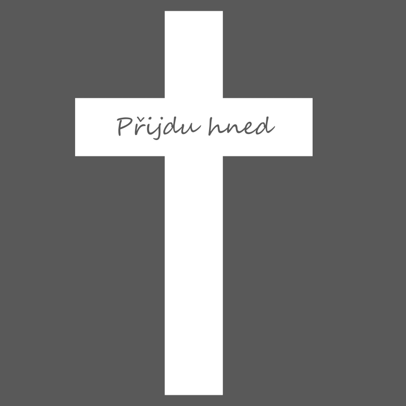 Obrázek epizody Přijdu hned