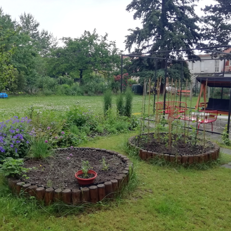 Obrázek epizody Mikroadaptace