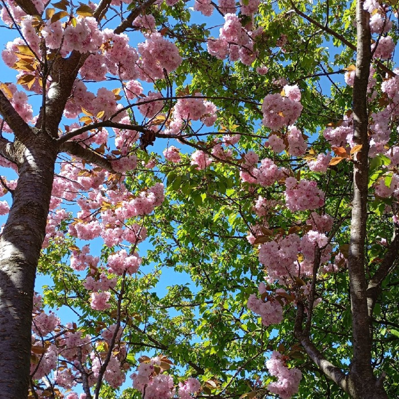 Obrázek epizody Pojedu za Olinkou 😆😆😆😆😆