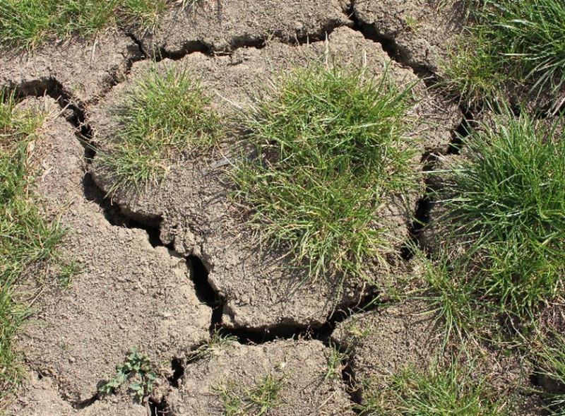 Obrázek epizody Jak zavodnit nejen jižní Moravu