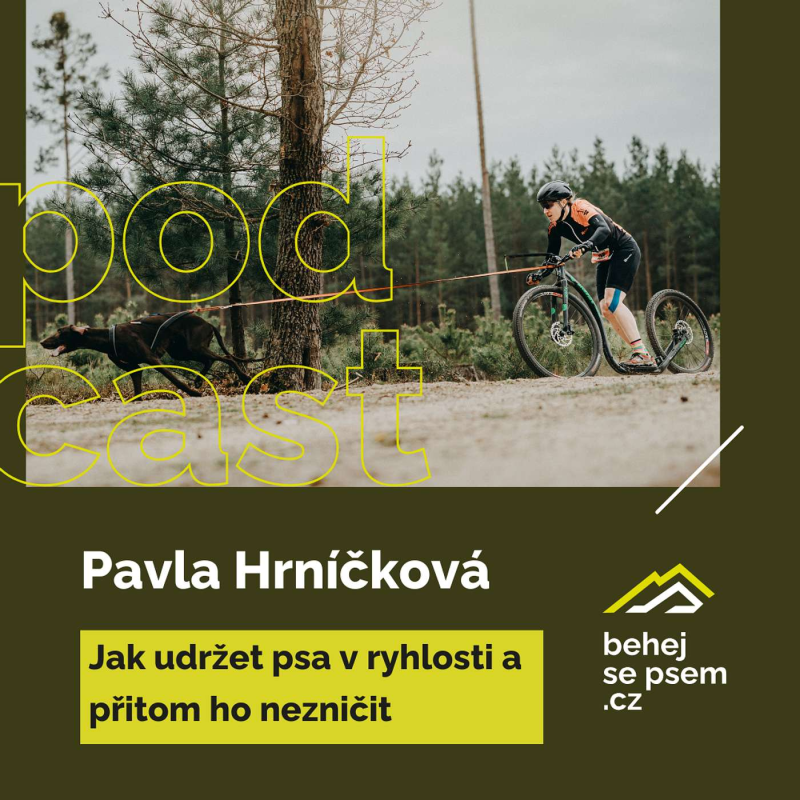 Obrázek epizody Jak udržet psa v rychlosti a přitom ho nezničit | Pavla Hrníčková