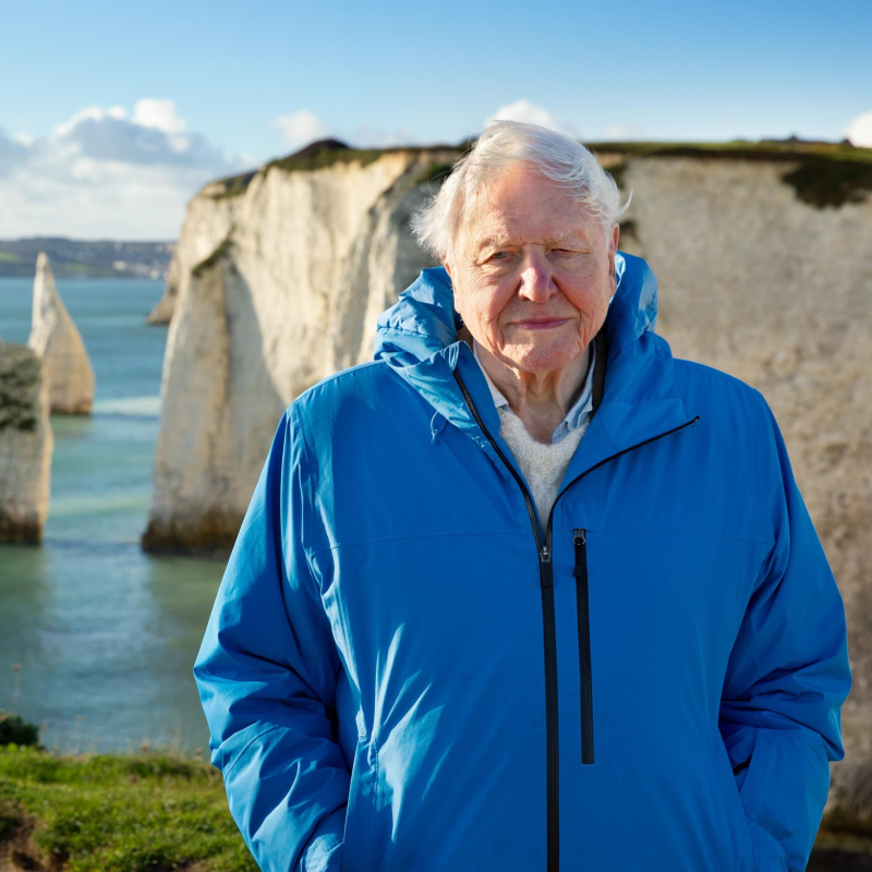 Obrázek epizody 100 years on Earth: celebrating David Attenborough’s birthday