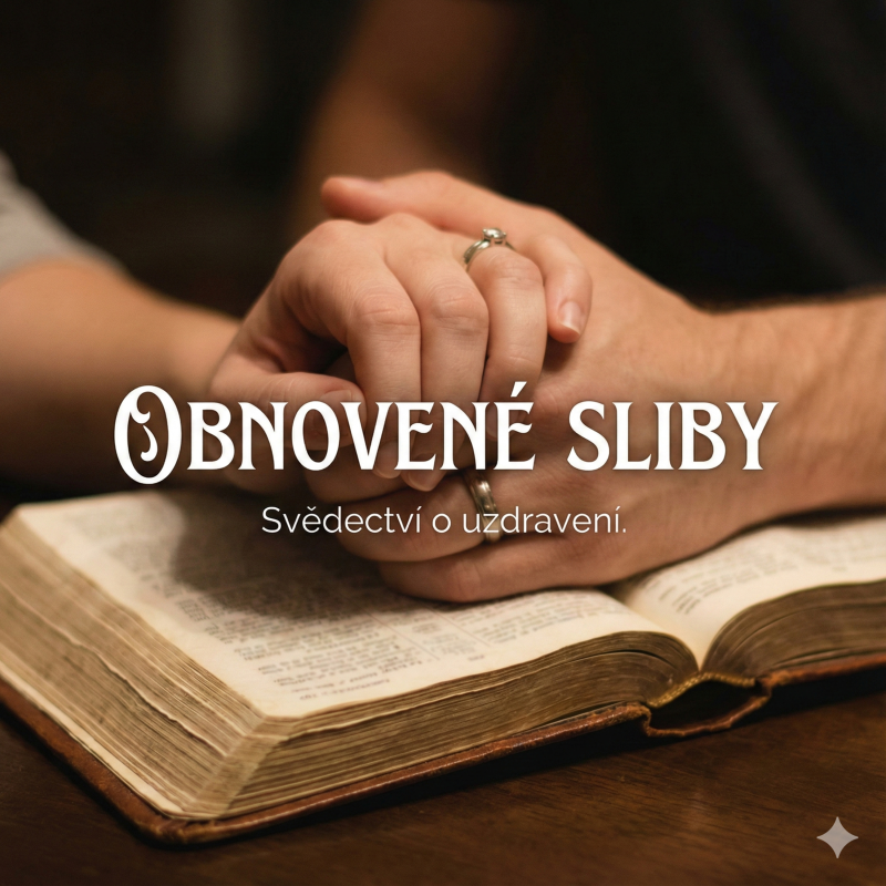 Obrázek epizody Z nevěry k zázraku: 8 let obnoveného manželství