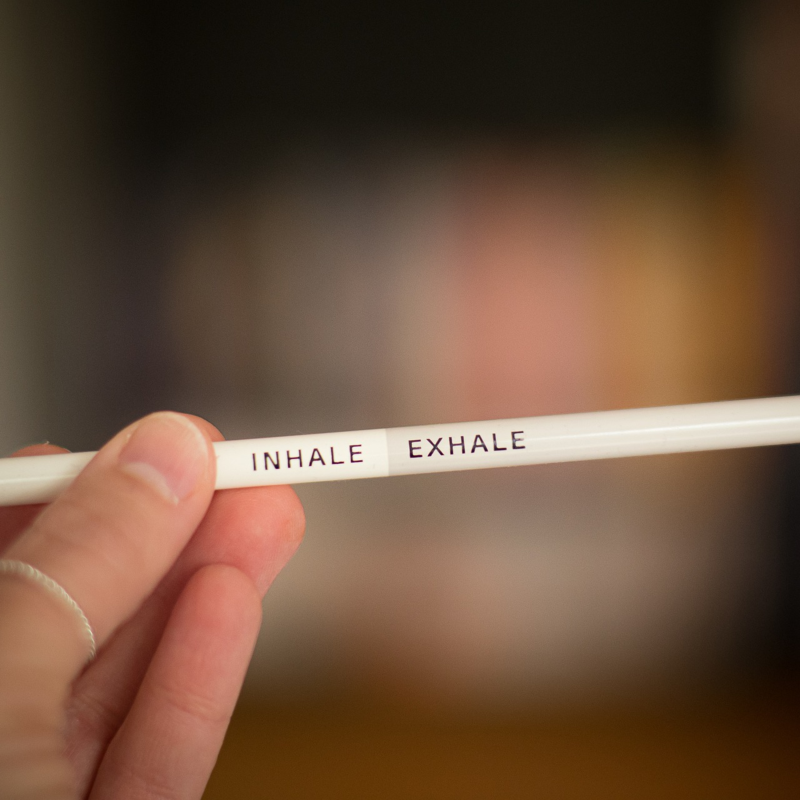 Obrázek epizody Jak se zklidnit dechem: Meditace pro začátečníky (Úplně pro každého)