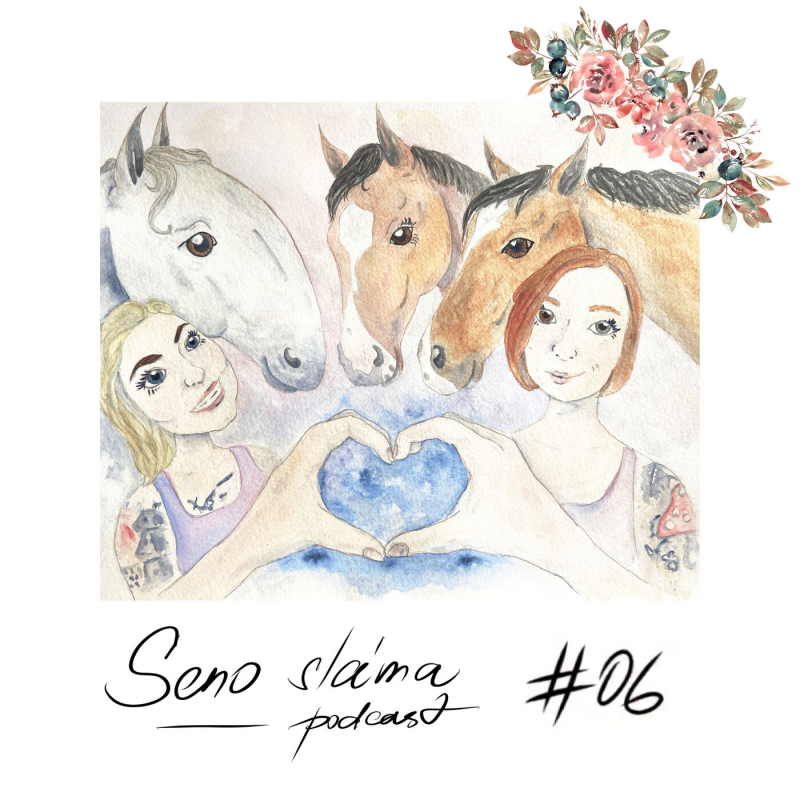 Obrázek epizody #06 Kecací okénko: Jaká je ideální délka tréninku?