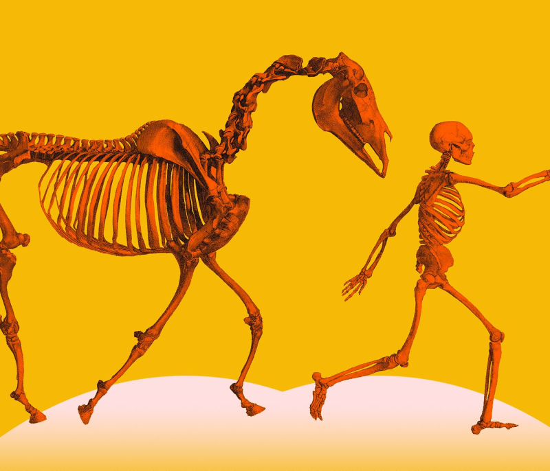 Obrázek epizody Man Against Horse