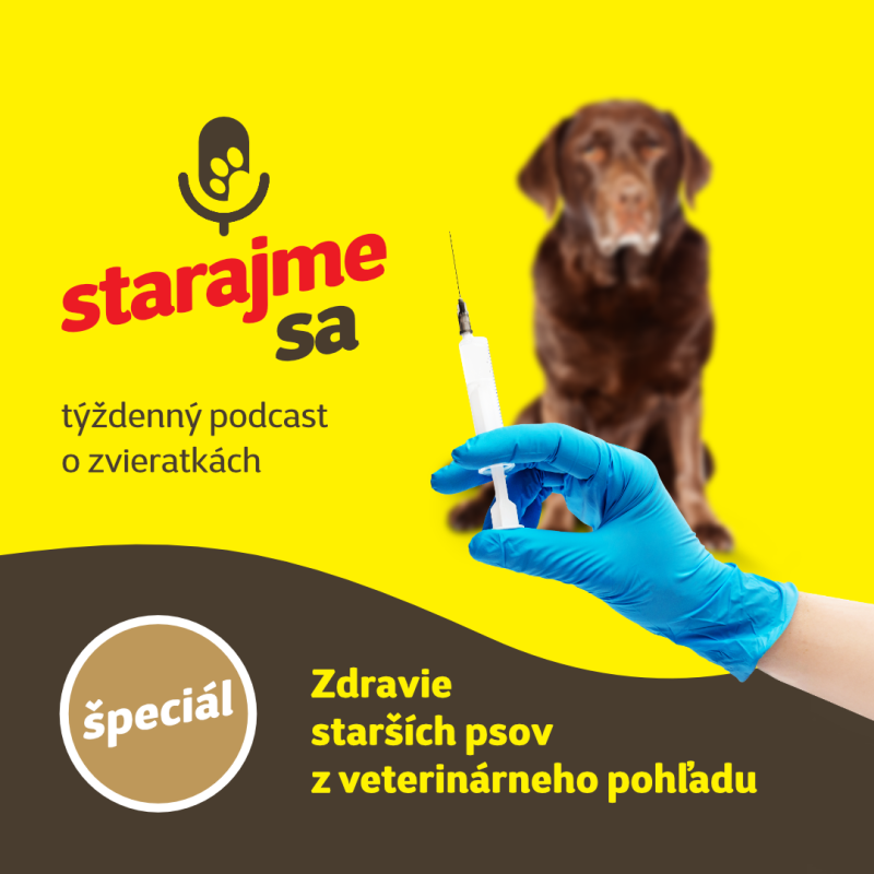 Obrázek epizody Špeciál: Zdravie starších psov z veterinárneho pohľadu