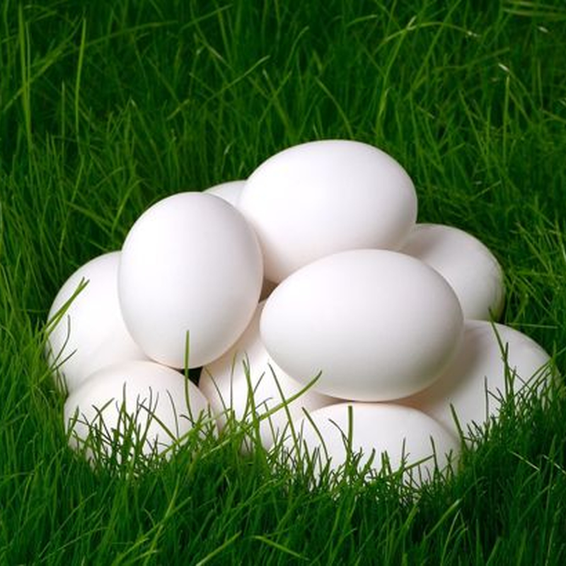 Obrázek epizody Zelený čtvrtek: den, kdy zvony odlétají do Říma