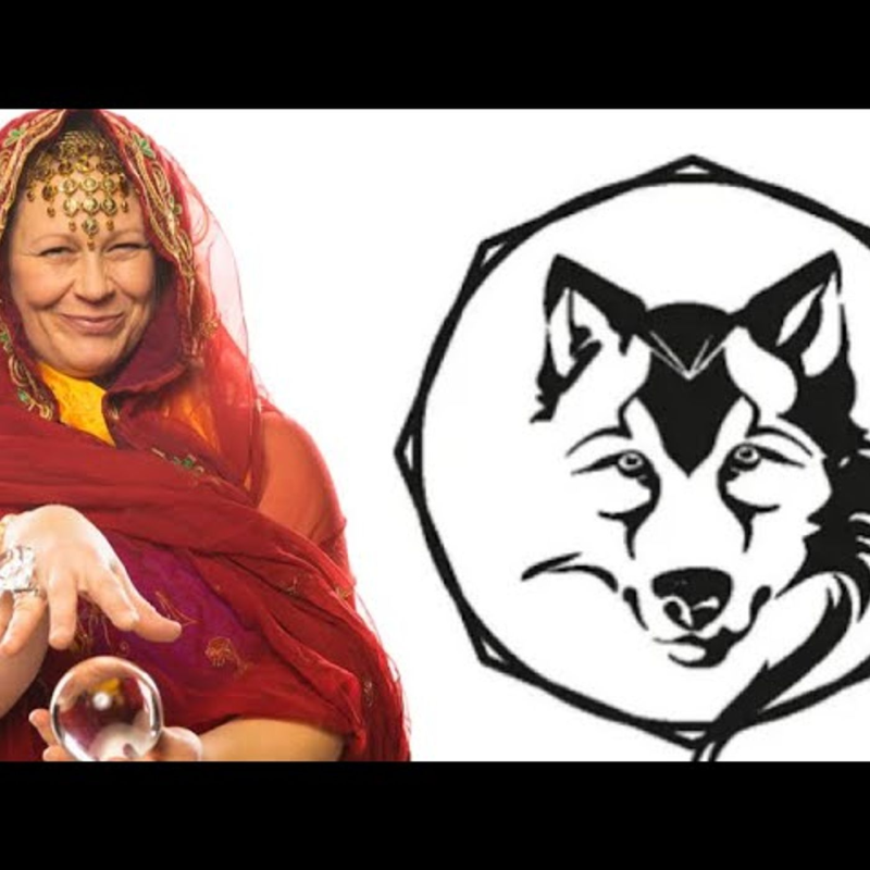 Obrázek epizody Noční zábava s vědmami léčitele Wolfa