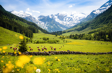 Obrázek epizody Rakousko nabízí relax na horách i ve městech. Pošlete stres na dovolenou!