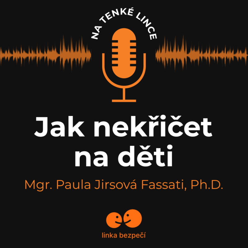 Obrázek epizody Jak nekřičet na děti