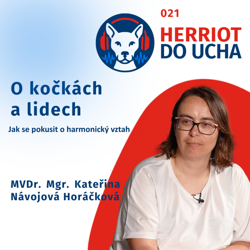 Obrázek epizody 🐈 O kočkách a lidech - jak se pokusit o harmonický vztah - MVDr. Mgr. Kateřina Návojová Horáčková - Podcast pro chovatele