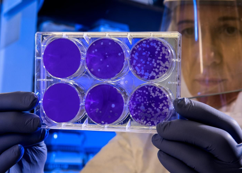 Obrázek epizody Dispatch 14: Covid Crystal Ball